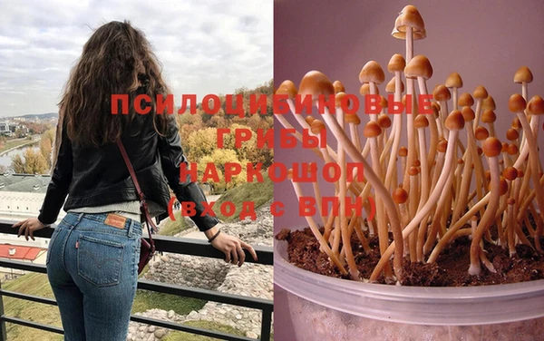 гидропоника Алексеевка